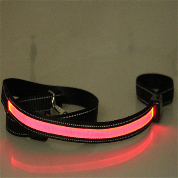 Fluorescent Dog Collar for Nighttime Safety