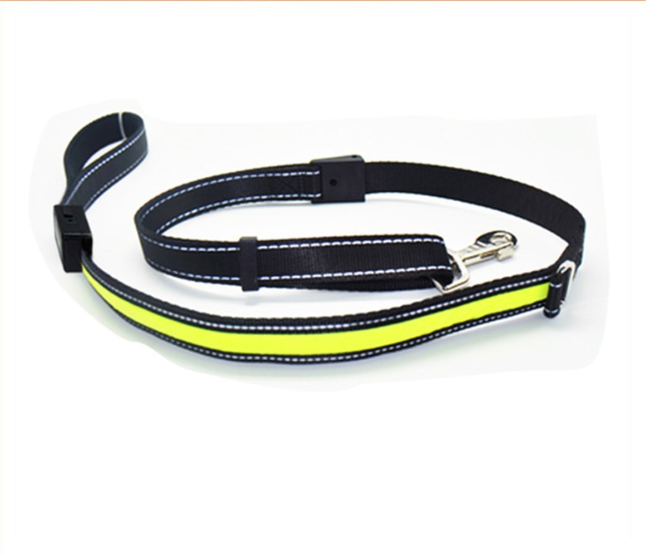 Fluorescent Dog Collar for Nighttime Safety