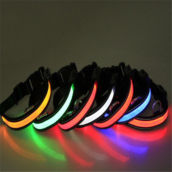 Fluorescent Dog Collar for Nighttime Safety