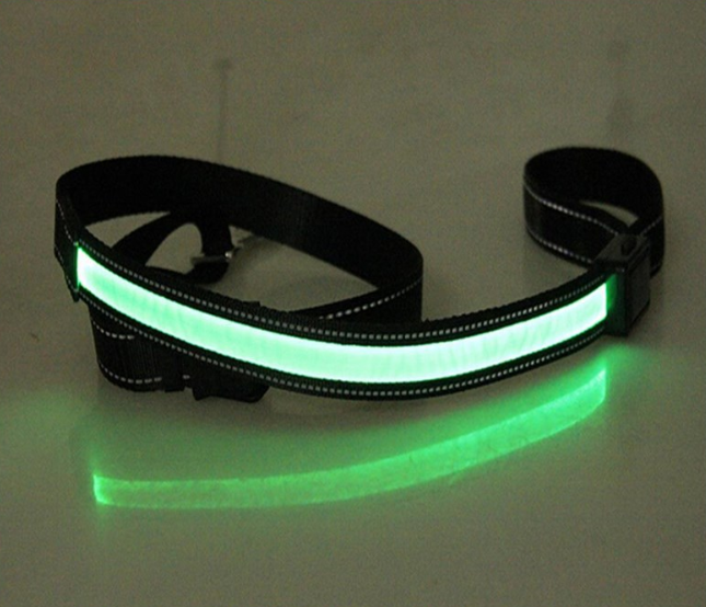 Fluorescent Dog Collar for Nighttime Safety