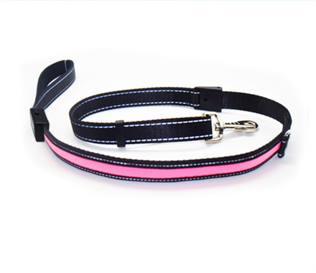 Fluorescent Dog Collar for Nighttime Safety